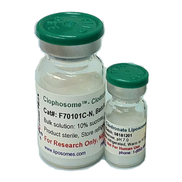 Clophosome® -A- high potency clodronate liposomes (anionic, 20mg/mL)
