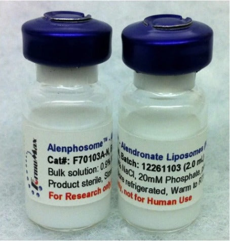 Alenphosome™-A – Alendronate Liposomes (Anionic)