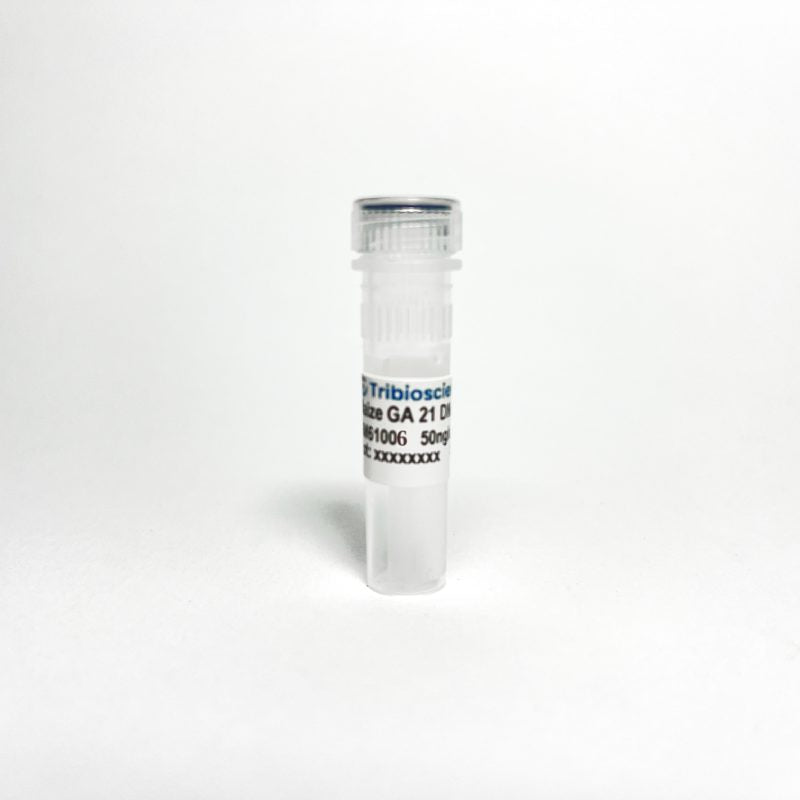 Maize Mon GA21 Certified DNA, Concentration 50 ng/µL (GM61006)