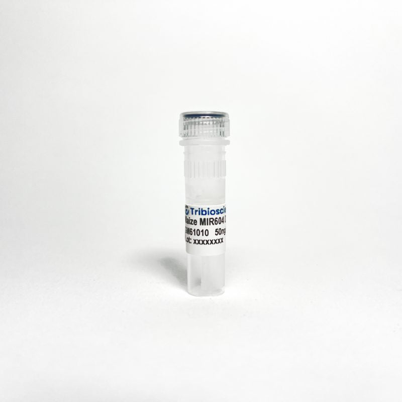 Maize MIR604 Certified DNA, Concentration 50 ng/µL (GM61010)