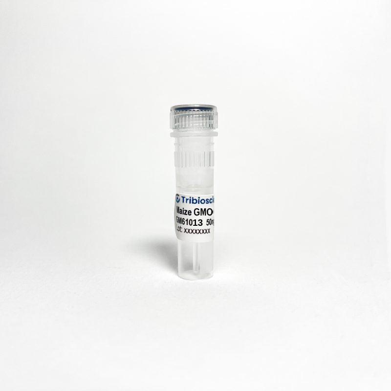Maize GMO 1507 Certified DNA, Concentration 50 ng/µL (GM61013)