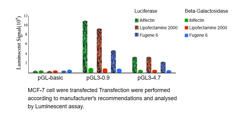 iMFectin DNA Transfection Reagent