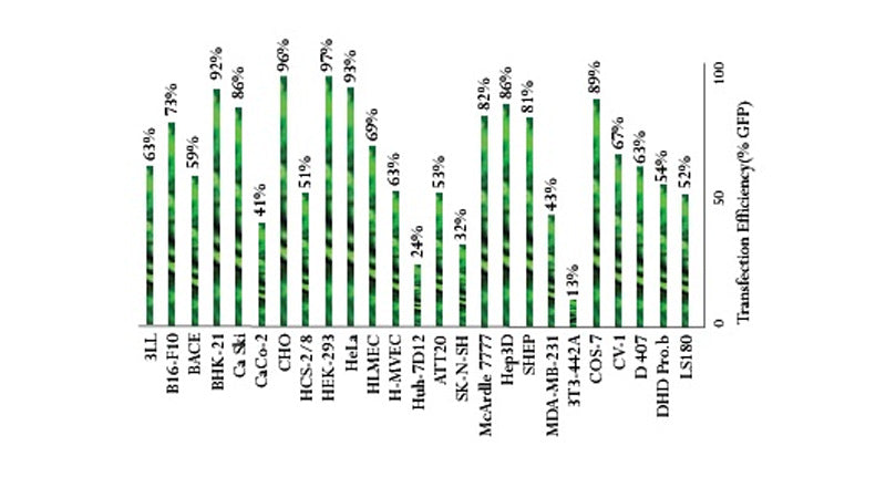 iMFectin DNA Transfection Reagent