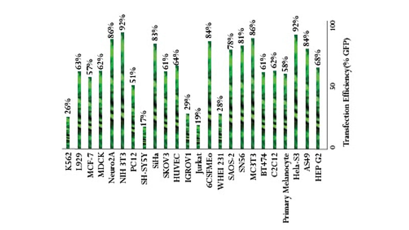 iMFectin DNA Transfection Reagent