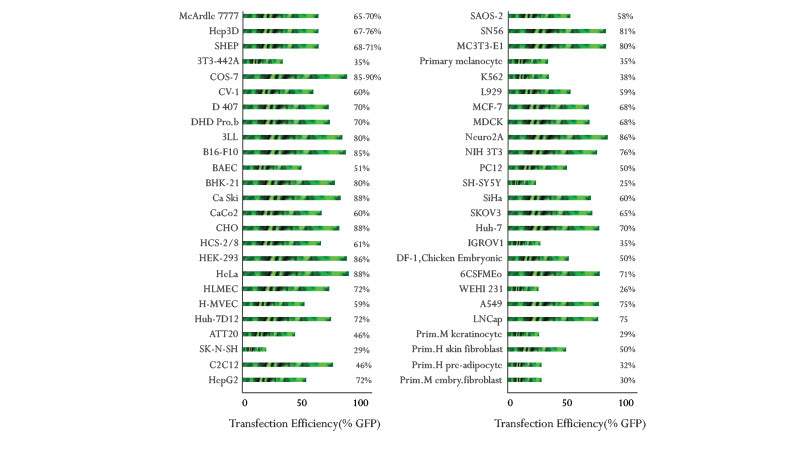 iMFectin Poly DNA Transfection Reagent