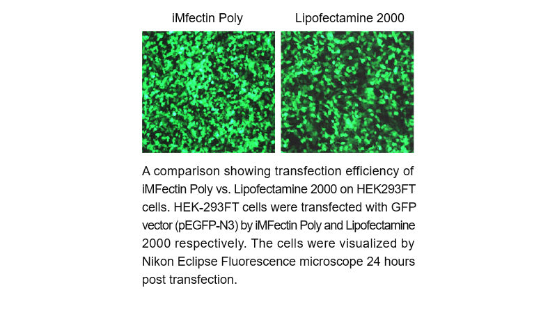 iMFectin Poly DNA Transfection Reagent
