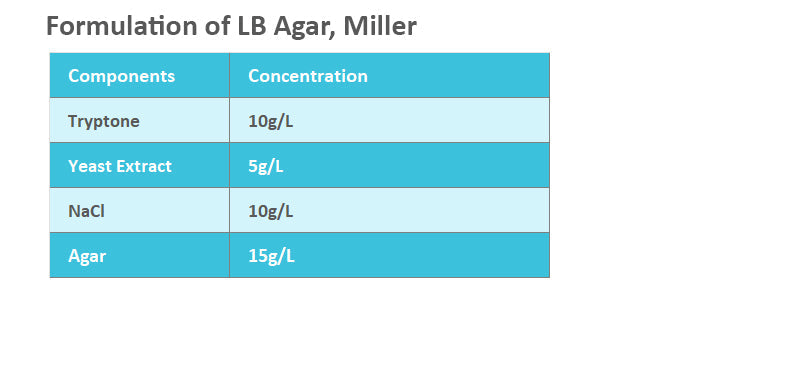 LB Agar, Miller