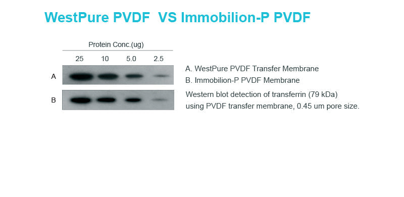 WestPure PVDF Membrane, 0.45 um