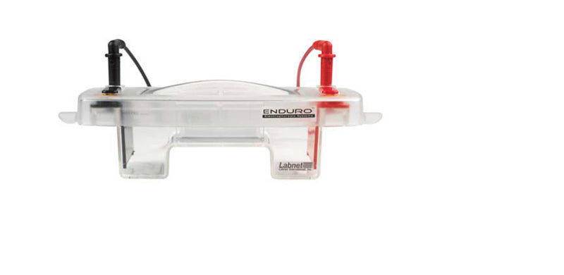 ENDURO 7.7 Horizontal Electrophoresis , 7 x 7 cm Gels