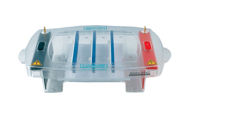 ENDURO 10.10 Horizontal Electrophoresis , 10 x 10cm Gels