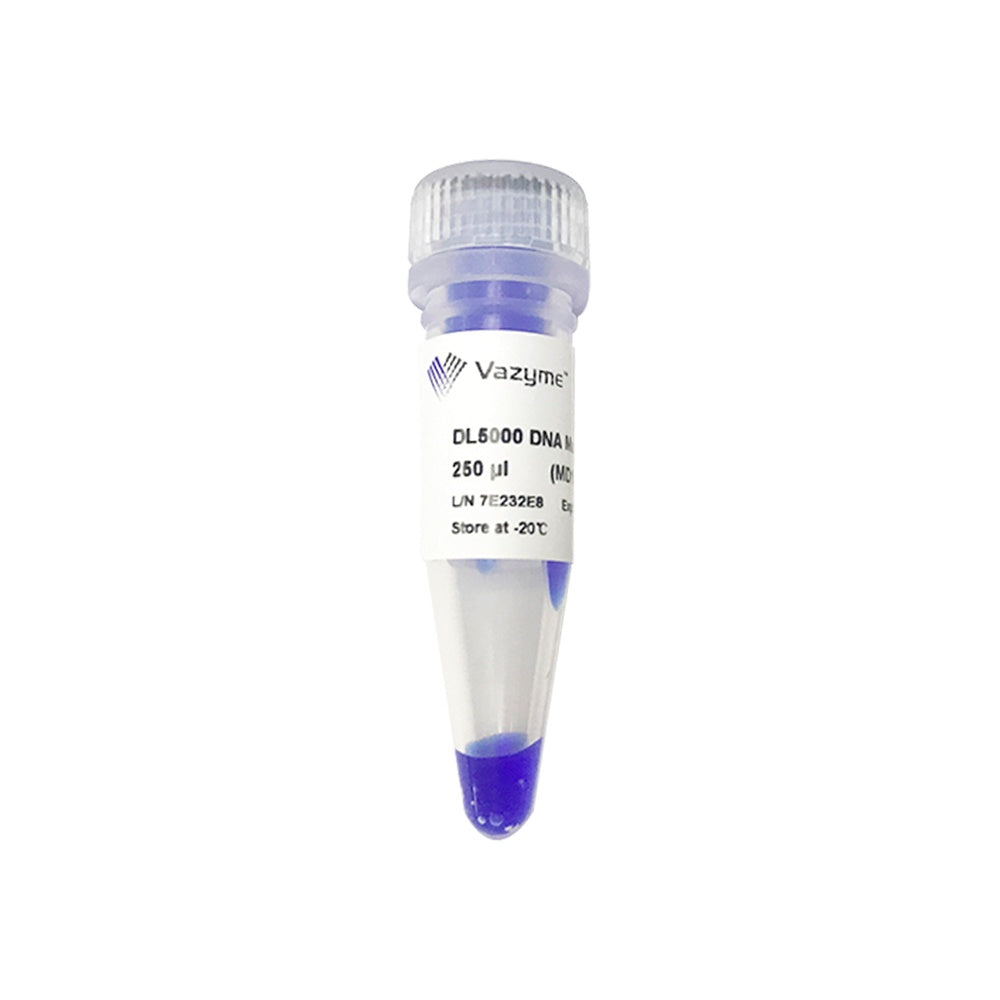 DL5000 DNA Marker MD102