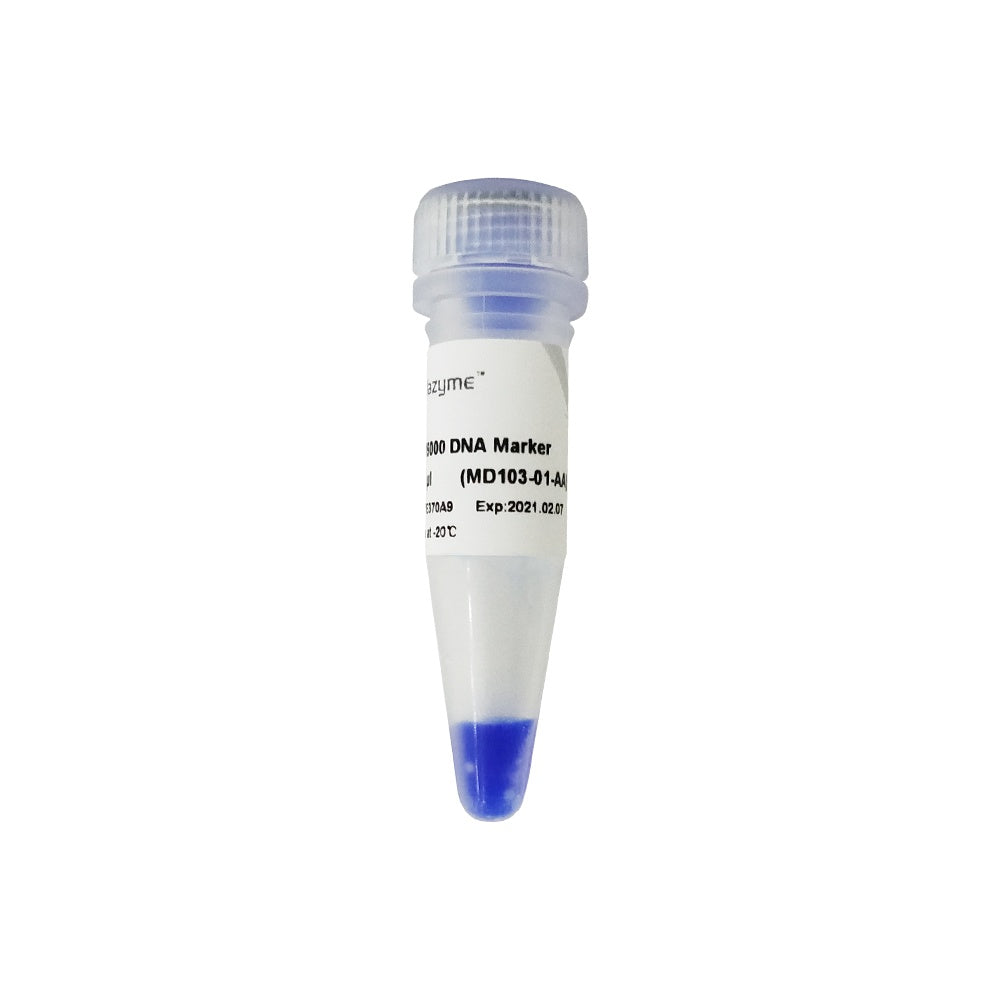 DL15000 DNA Marker MD103