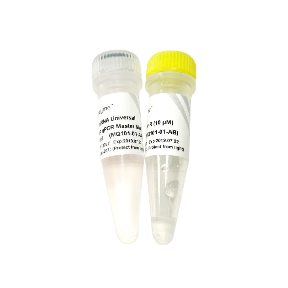 miRNA Universal SYBR qPCR Master Mix MQ101