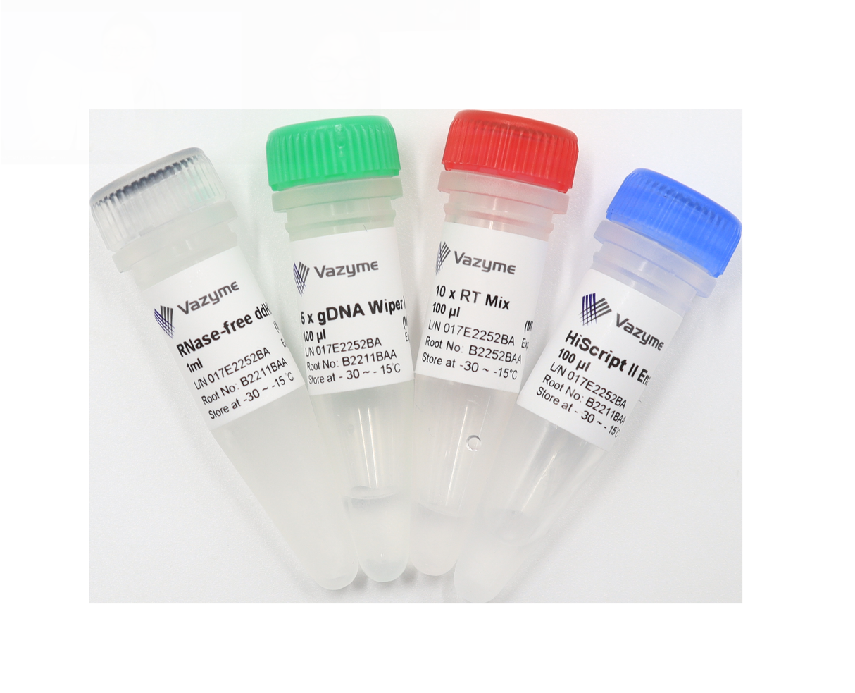 miRNA 1st Strand cDNA Synthesis Kit (by stem-loop) MR101