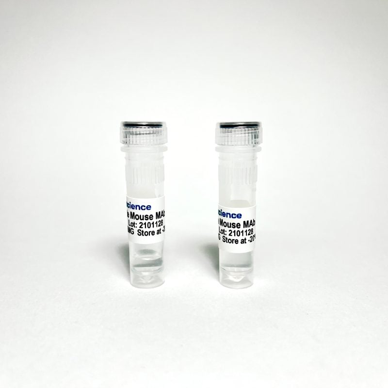 Benzoylecgonine Monoclonal Antibody (TMB022)