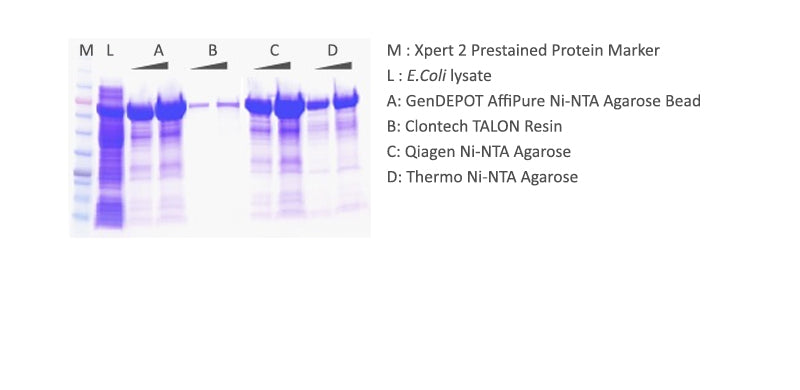 AffiPure Ni-NTA Agarose Bead