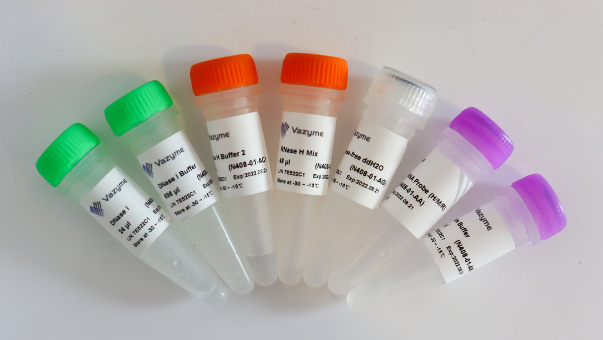 Ribo-off Globin & rRNA Depletion Kit (Human/Mouse/Rat) N408