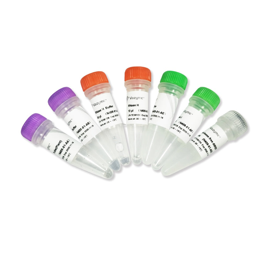 Ribo-off rRNA Depletion Kit (Plant) N409