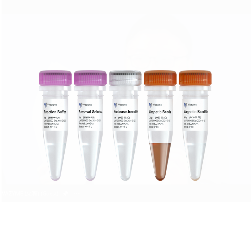 Ribo-MagOff rRNA Depletion Kit (Human/Mouse/Rat) N420