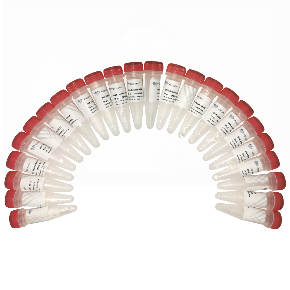 VAHTS DNA Adapters Set 3 – Set 6 for Illumina N805-N808