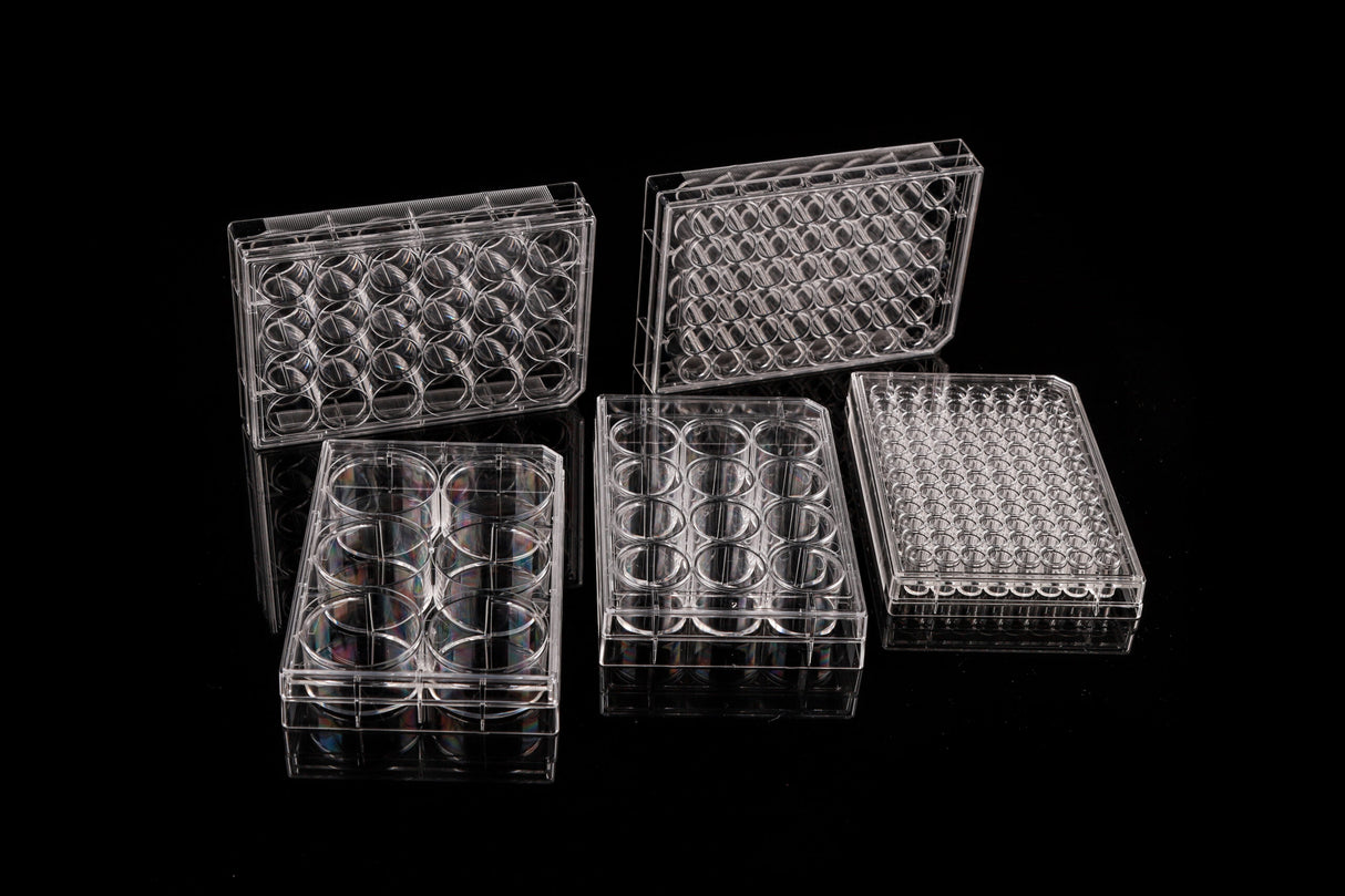 NEST 96 Well Cell Culture Plate, White, Flat bottom, TC, Sterile, 1/pack, 100/cs