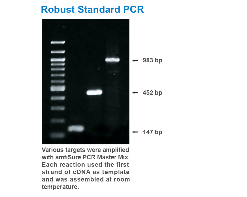 amfiSure PCR Master Mix(2X)
