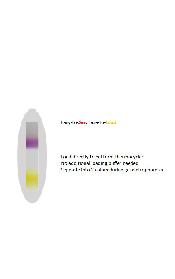 amfiSure Taq DNA Polymerase, 1unit/ul