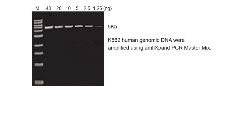 amfiXpand PCR Master Mix(2X)
