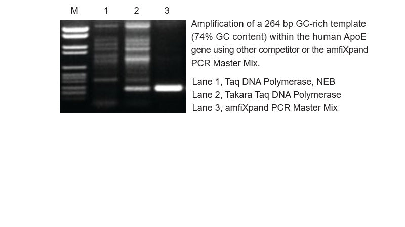 amfiXpand PCR Master Mix(2X)