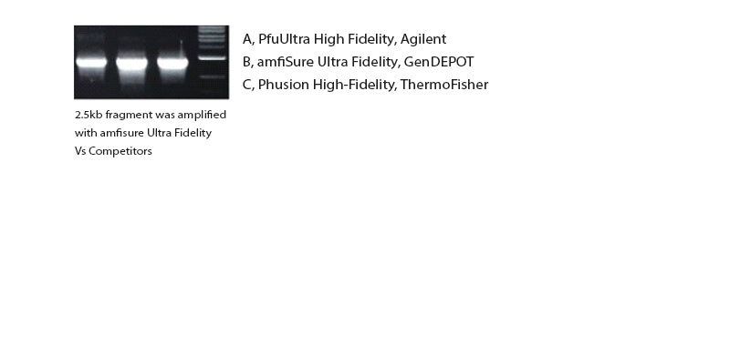 amfiSure Ultra Fidelity PCR Master Mix (2X)