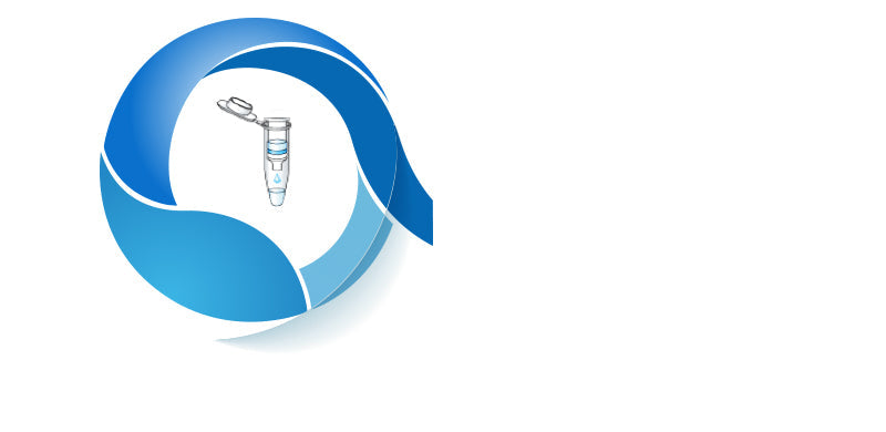 PURY Plasmid Mini Kit