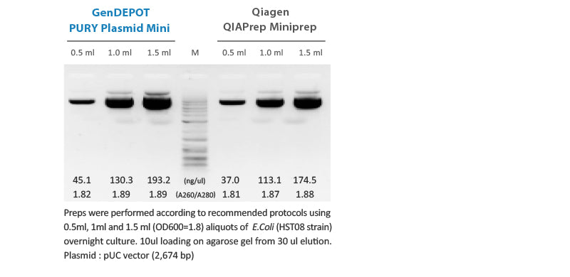 PURY Plasmid Mini Kit