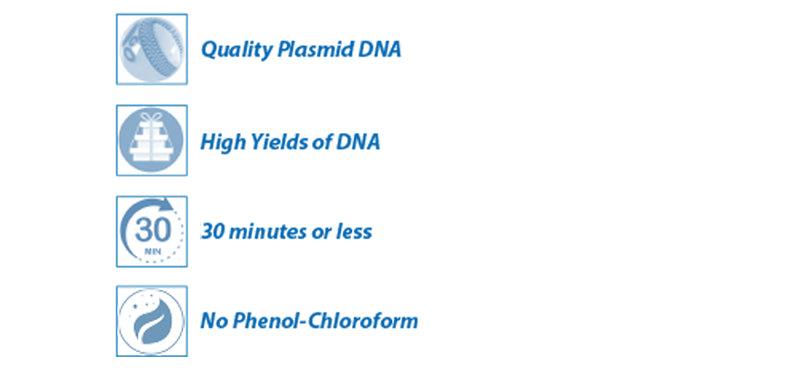 PURY Plasmid Mini Kit