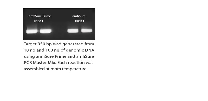 amfiSure Prime PCR Master Mix(2X)