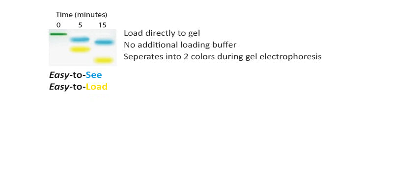 amfiSure Prime PCR Master Mix(2X)
