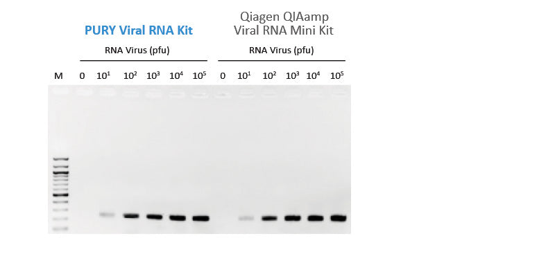 PURY Viral RNA Mini