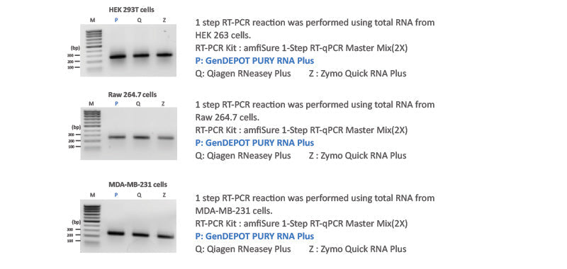PURY RNA Plus