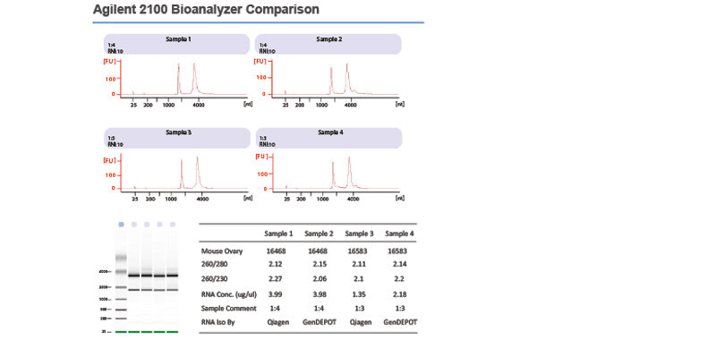PURY RNA Plus