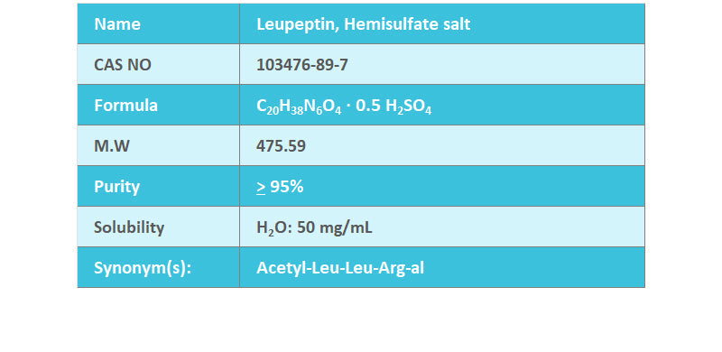 Leupeptin, Hemisulfate Salt, 25mg