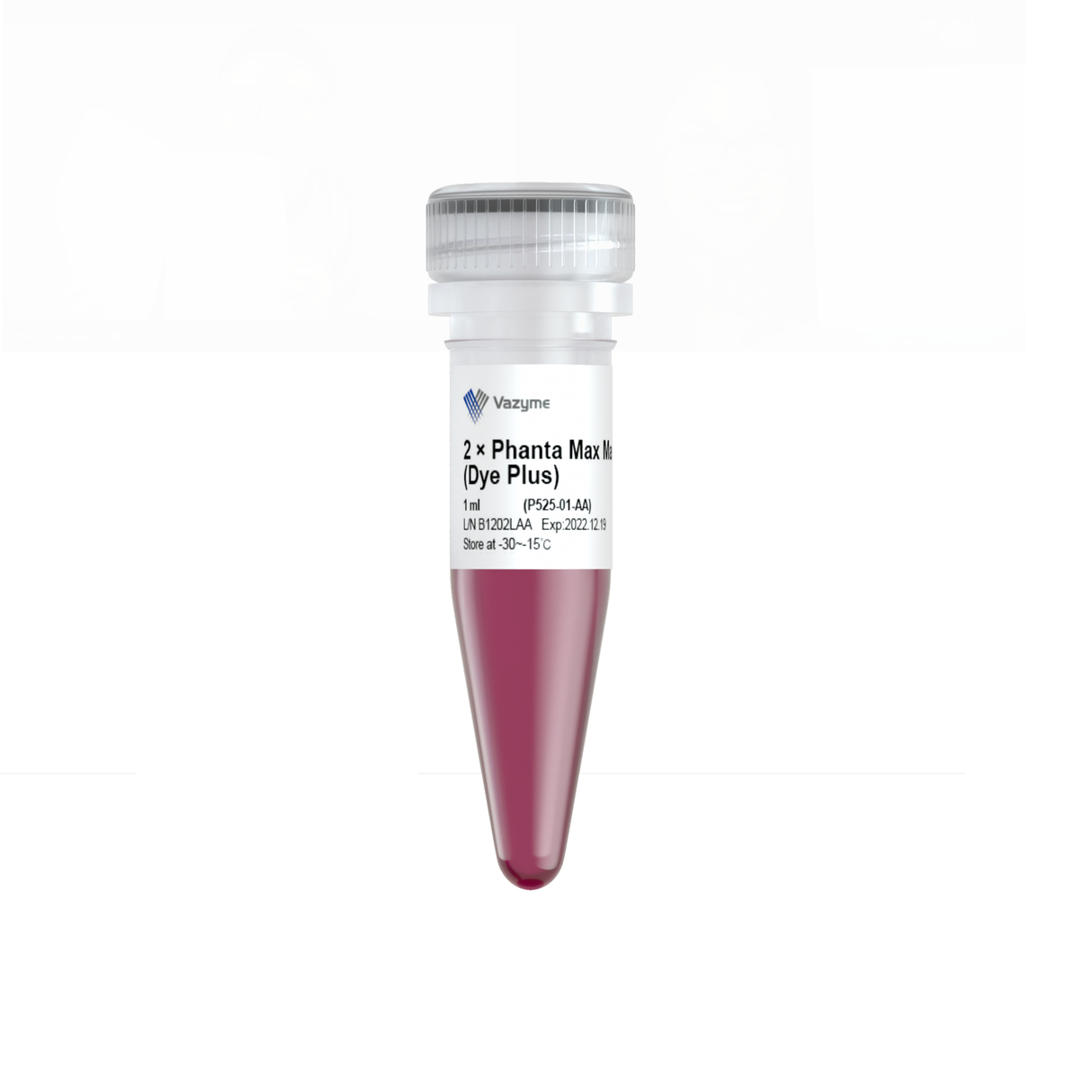 2 × Phanta Max Master Mix (Dye Plus) P525