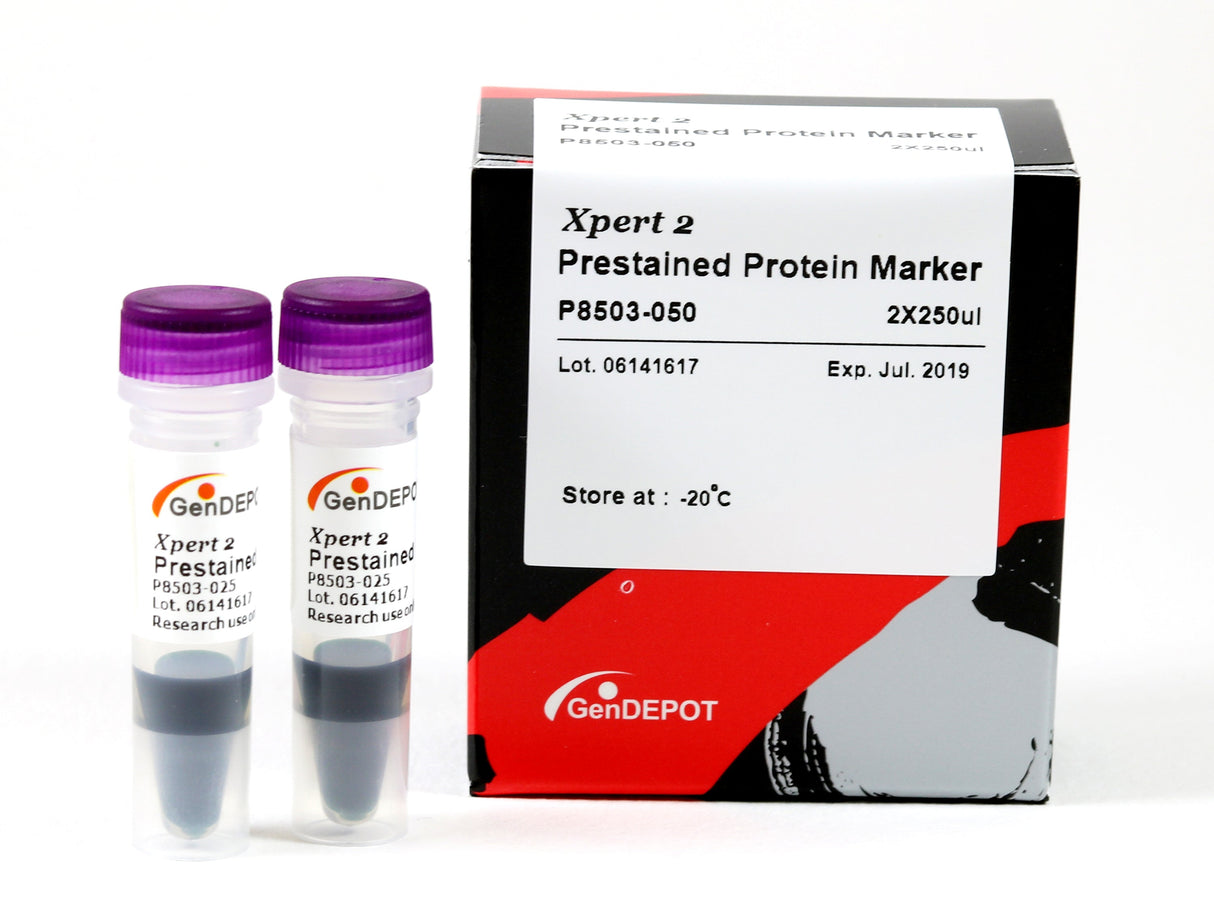 Xpert 2 Prestained Protein Marker