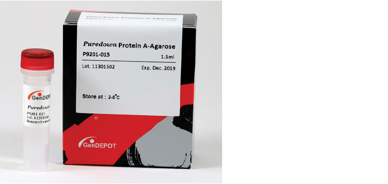 Puredown Protein A-Agarose, BSA-Binding Site Blocked