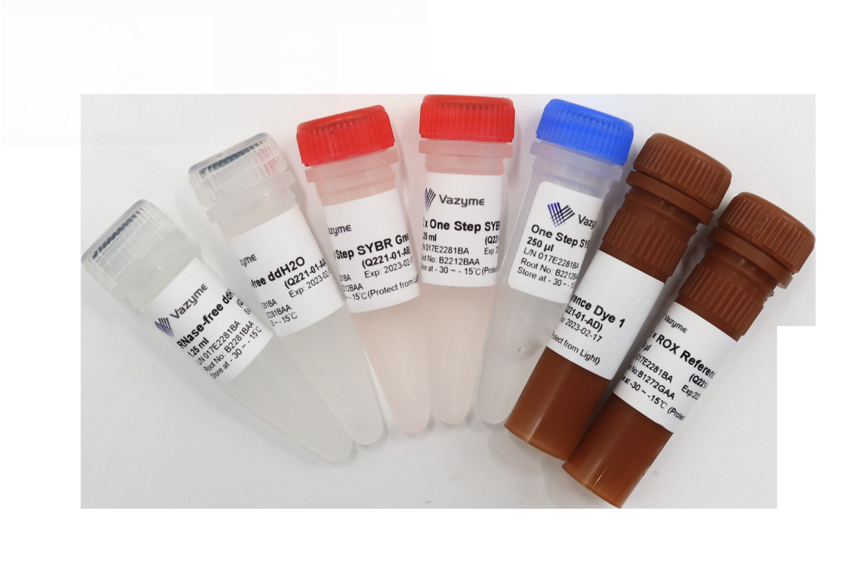 HiScript II One Step qRT-PCR SYBR Green Kit Q221