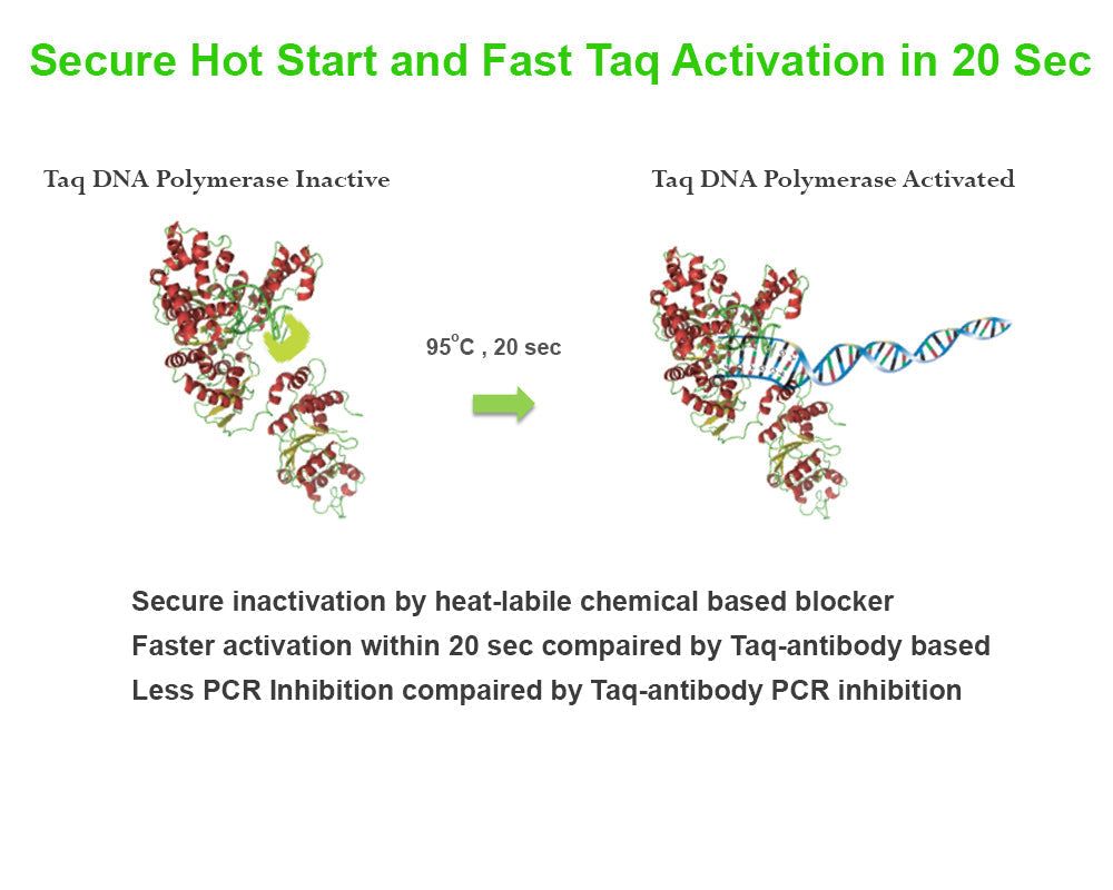 amfiSure qGreen Q-PCR Master Mix(2X), Low Rox