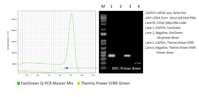 FastGreen Q-PCR Master Mix (2X), Low ROX