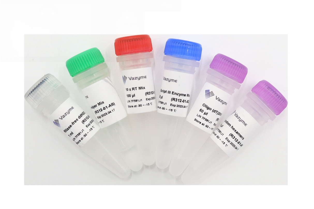 HiScript III 1st Strand cDNA Synthesis Kit (+gDNA wiper) R312