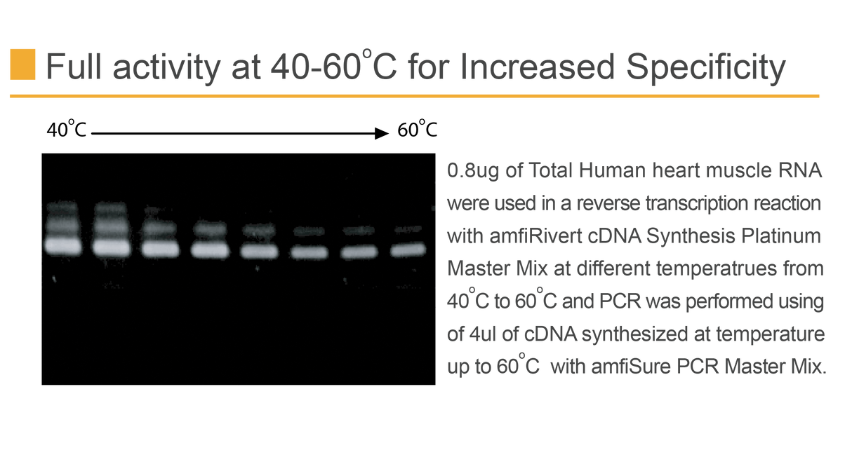 amfiRivert cDNA Synthesis Platinum Master Mix