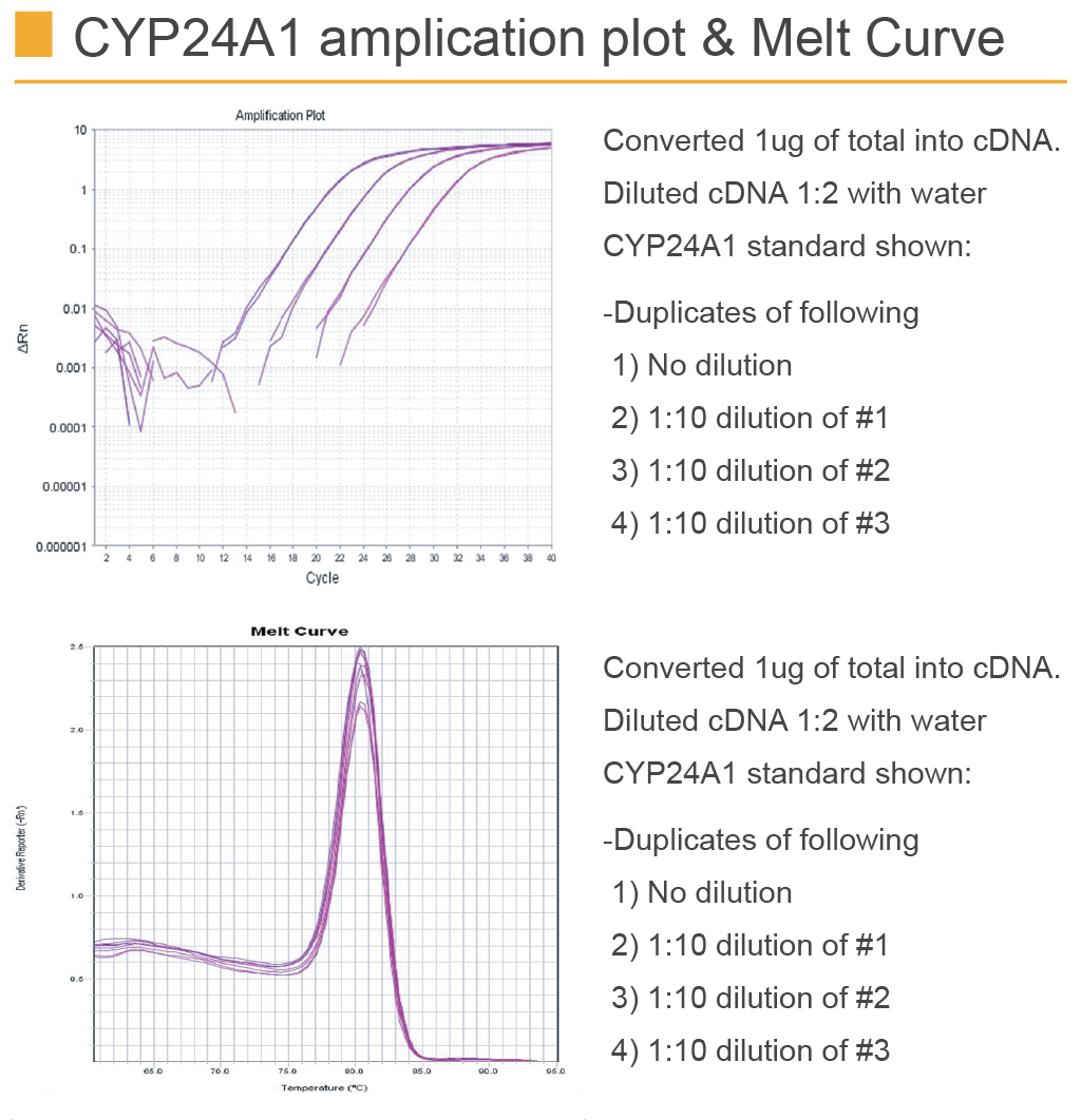 amfiRivert cDNA Synthesis Platinum Master Mix