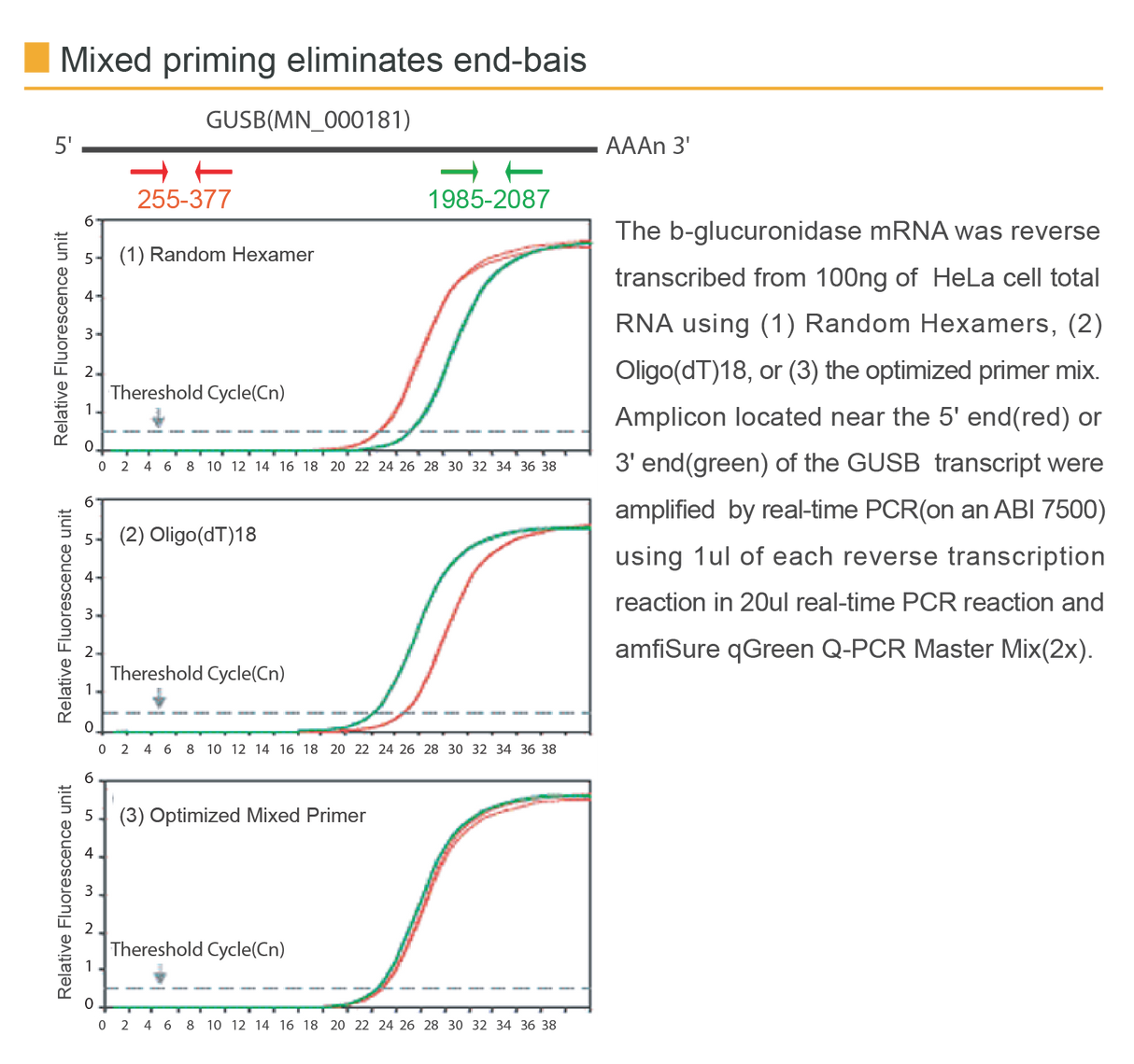 amfiRivert cDNA Synthesis Platinum Master Mix