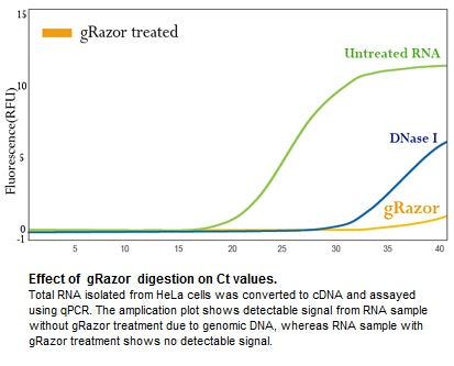gRazor, Genomic DNA Removal Enzyme Mix(5X)